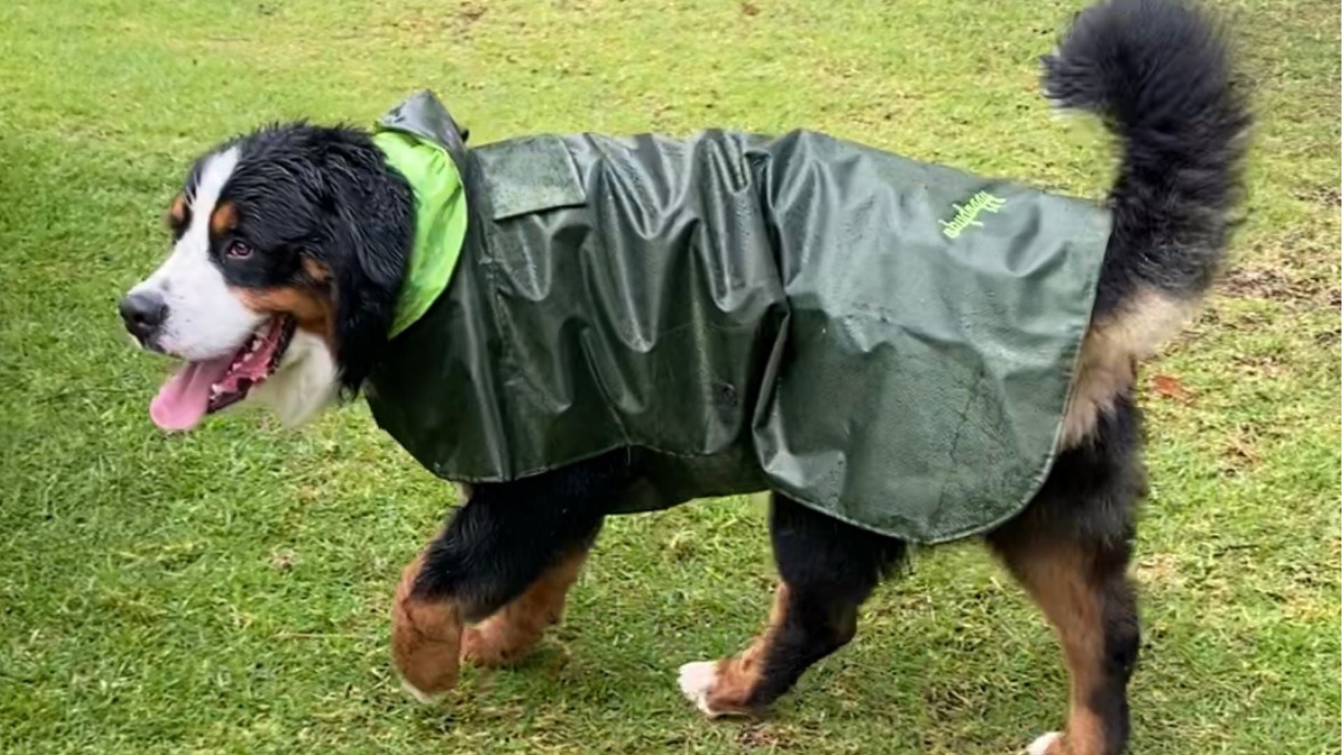 Ropa☔