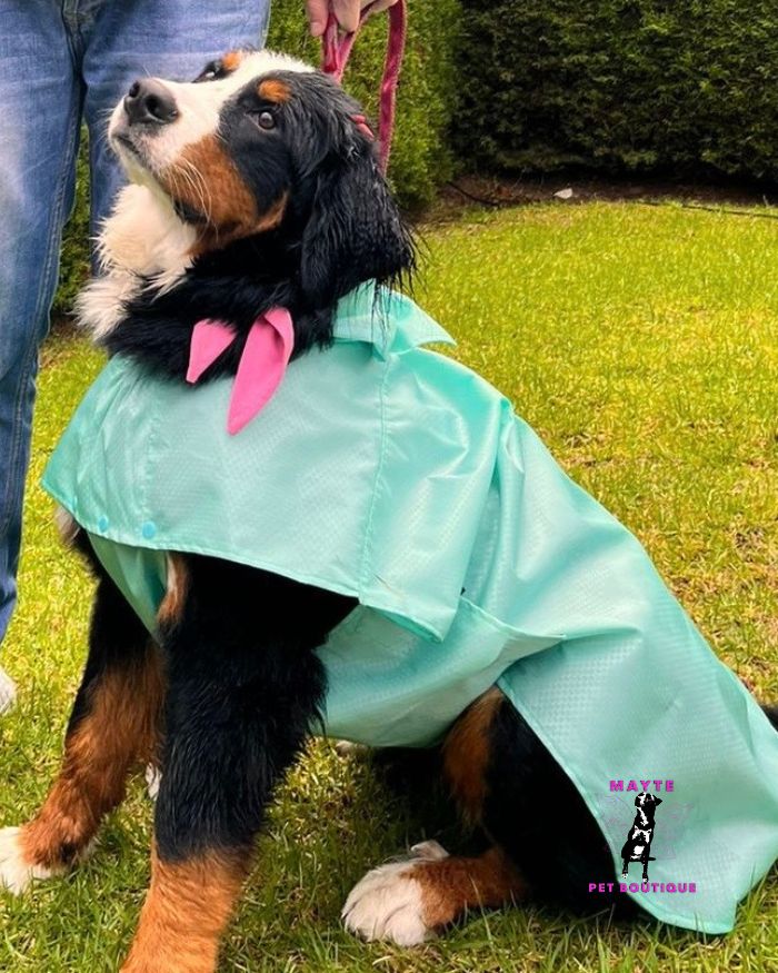 Capas-impermeables-para-perro-fácil-de-colocar