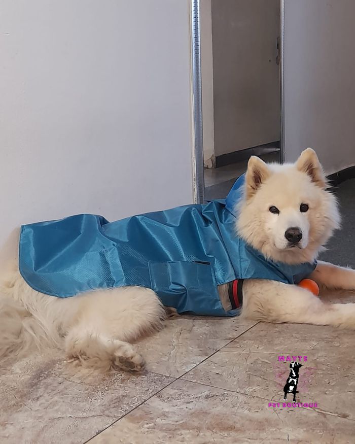 Capas-tatoalmente-impermeables-para-perro-grande
