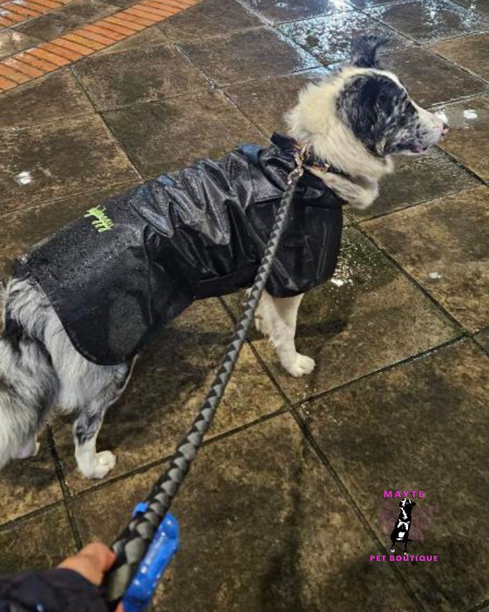 Capas-impermeables-para-perro-grande