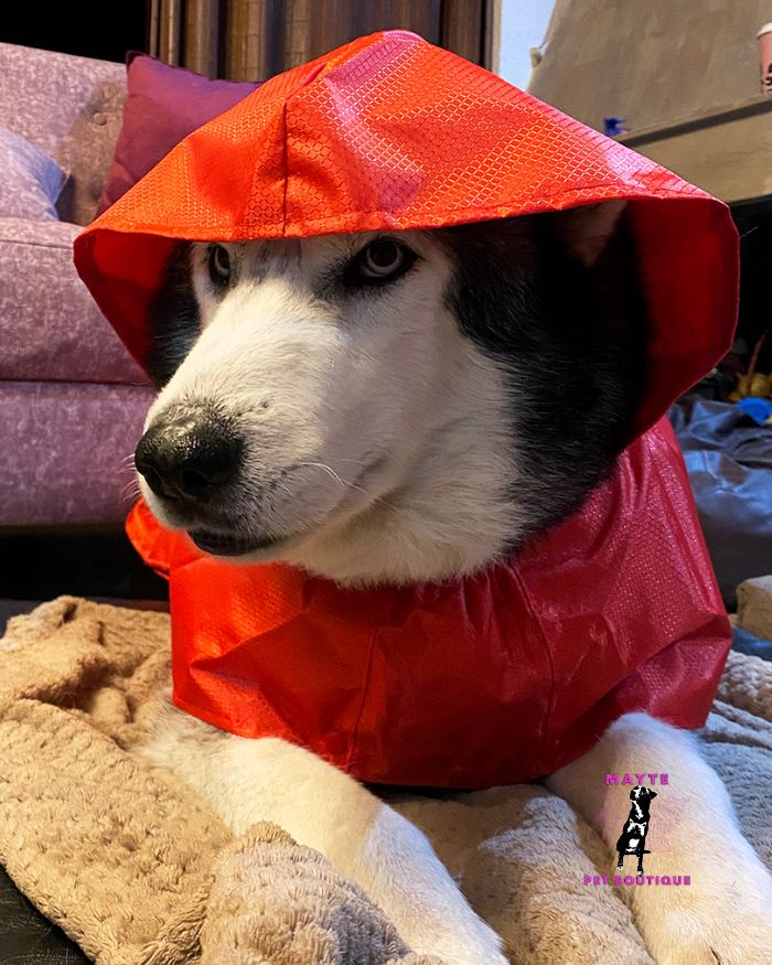Capas-para-la-lluvia-para-perro