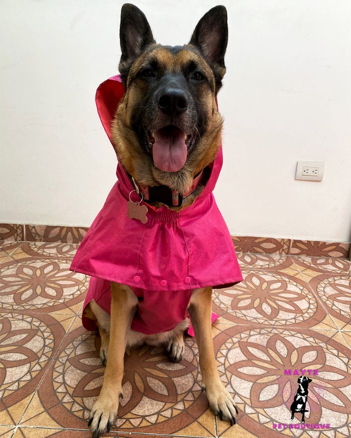 Capas-impermeables-para-perro-tallas-grandes