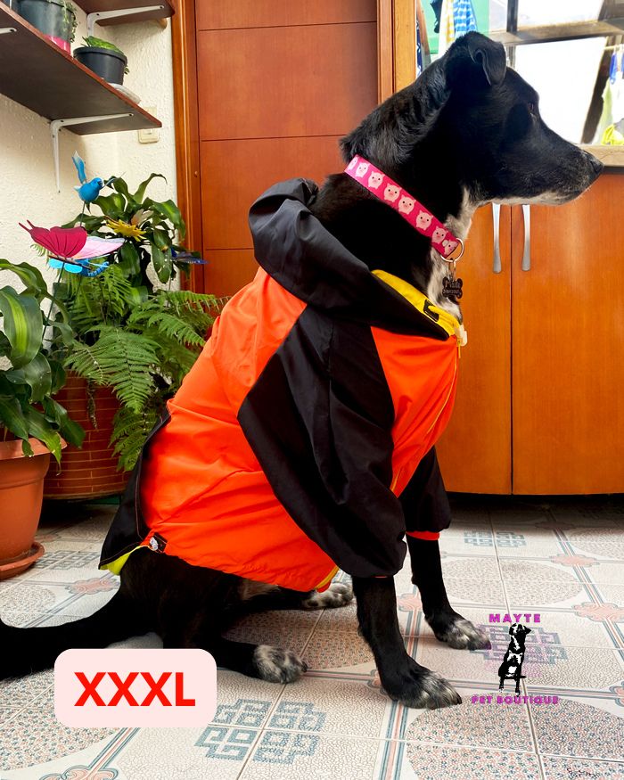 Chaquetas Semi-Impermeables para Perros