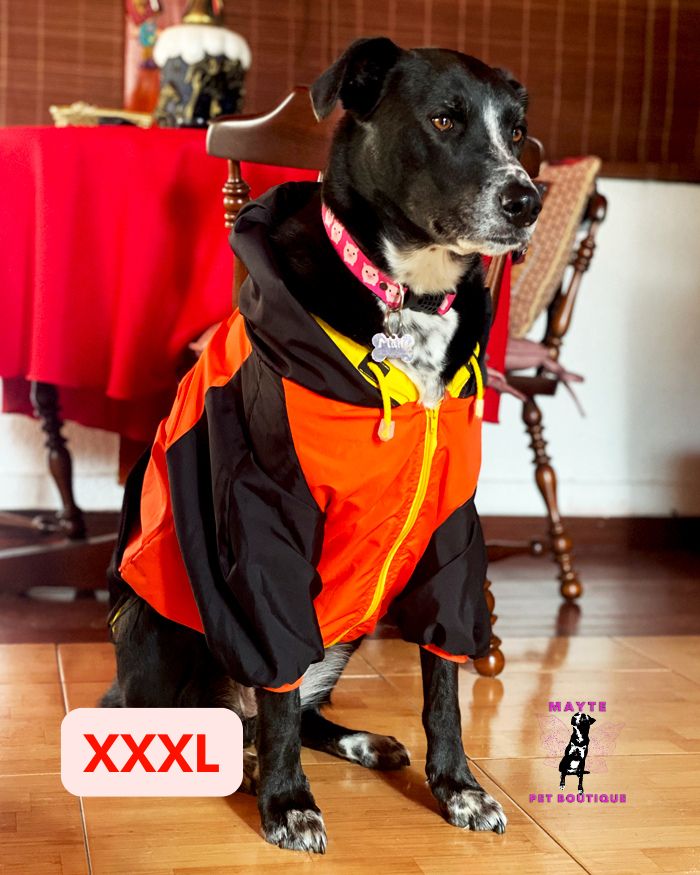 Chaquetas Semi-Impermeables para Perros