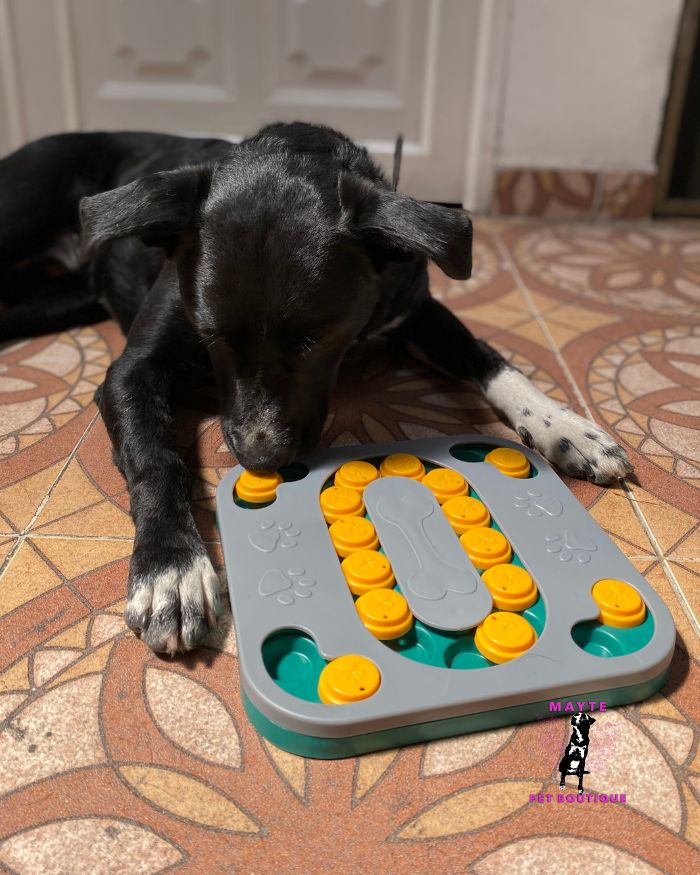 Juguete Interactivo para Perro- Rompecabezas Didácticos