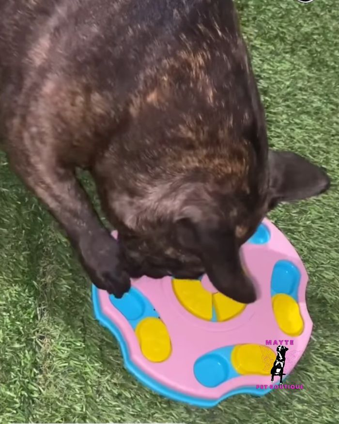 Juguete Interactivo para Perro- Rompecabezas Didácticos