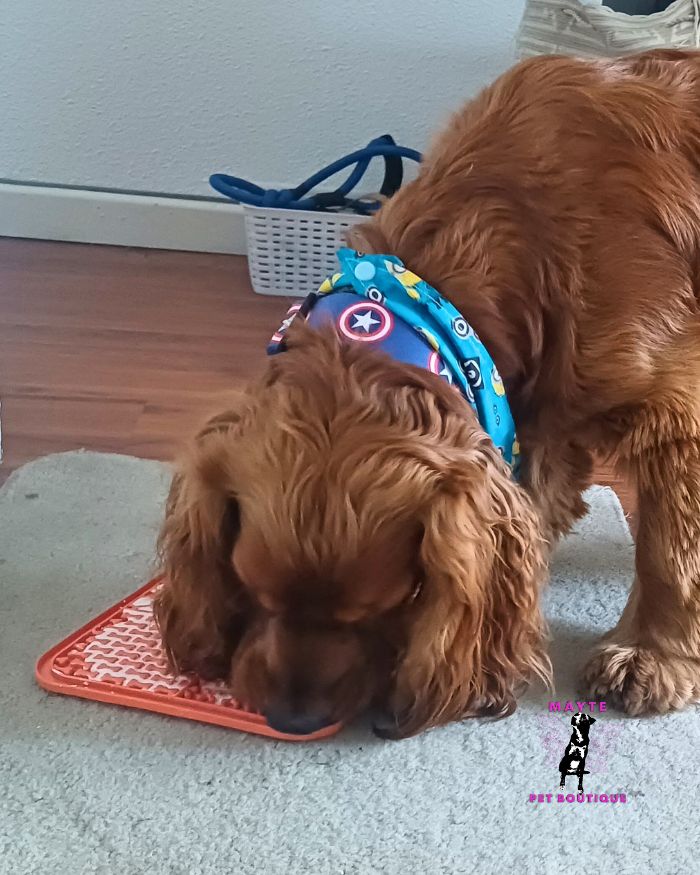 LickMat Reducción del Estrés y Ansiedad perro