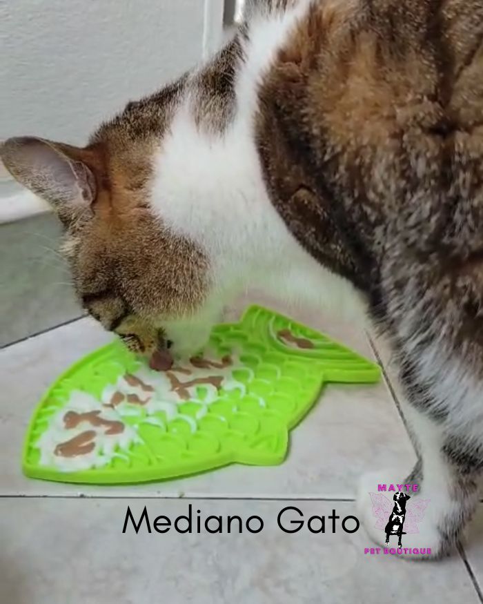 LickMat alimentación lenta Gato