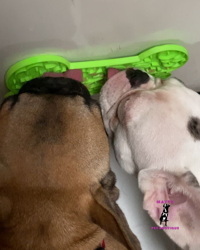 LickMat alimentacion lenta perro