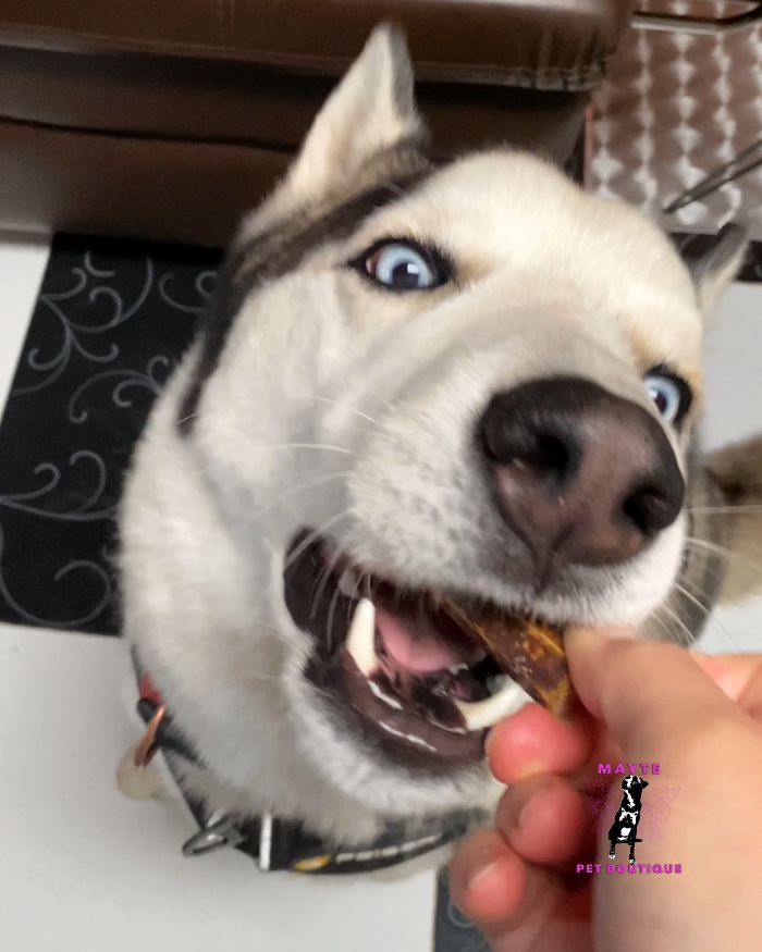 Mungos Cábanos – Snacks Blandos con Carne Fresca para Perros