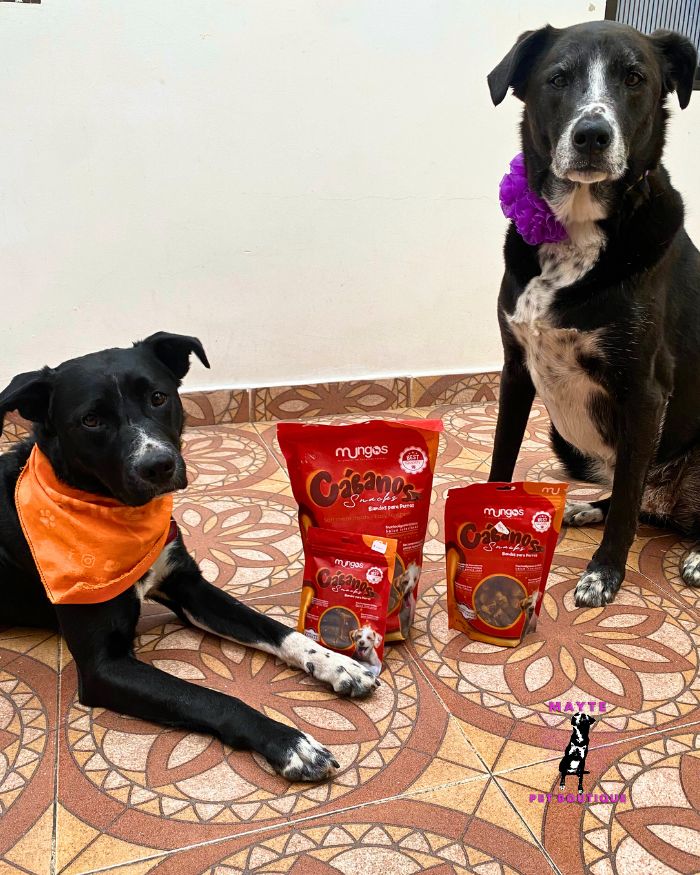 Mungos Cábanos – Snacks Blandos con Carne Fresca para Perros