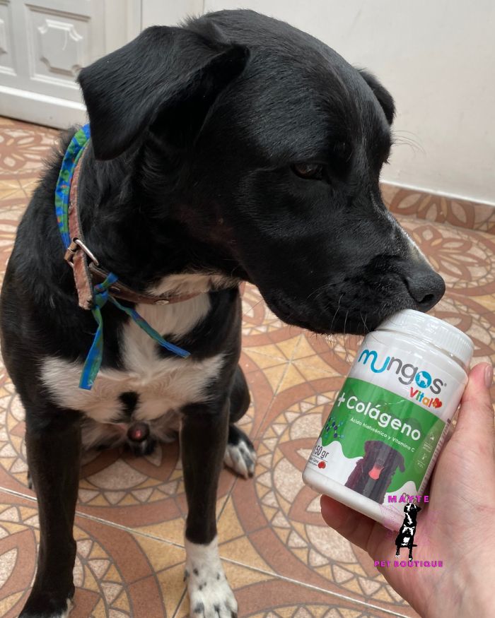 Mungos Vital Colágeno para perros