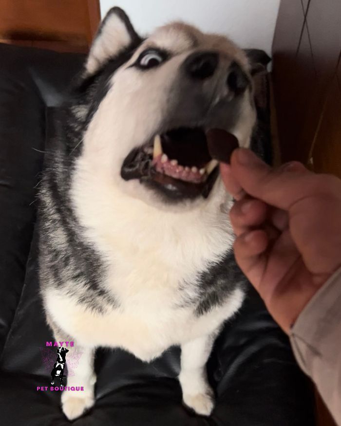 Mungos Vital Mobility para perros