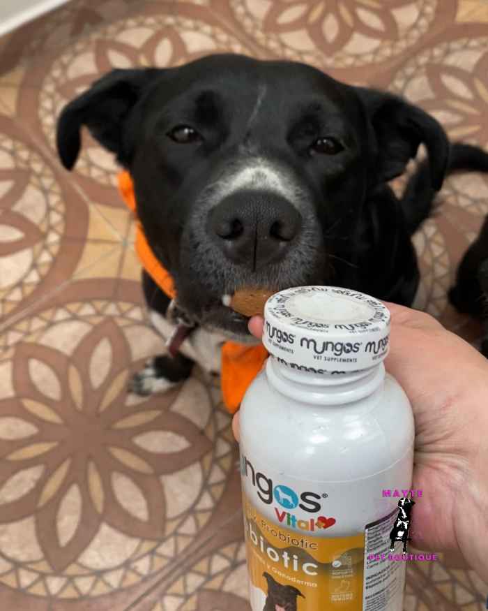 Mungos Vital Probiotic- Probióticos para perros