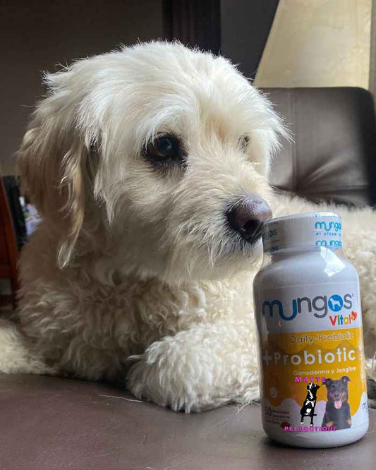 Mungos Vital Probiotic- Probióticos para perros