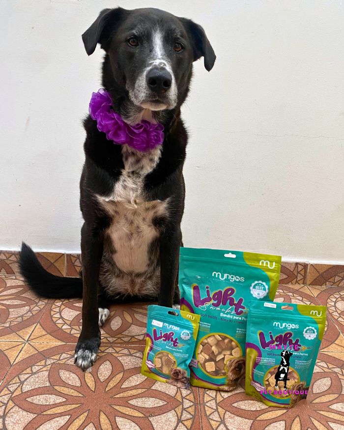 Mungos Light – Snack saludable y blando para Perros