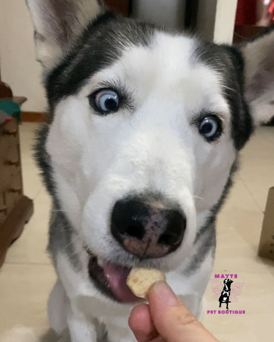 Mungos Light – Snack saludable y blando para Perros