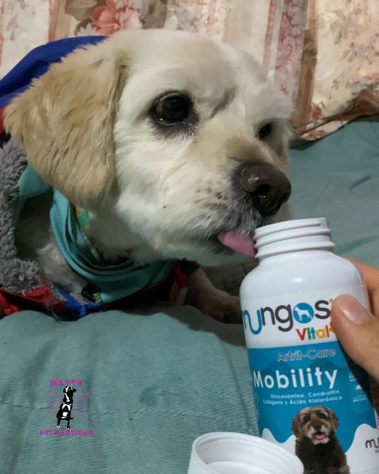 Mungos Vital Mobility para perros