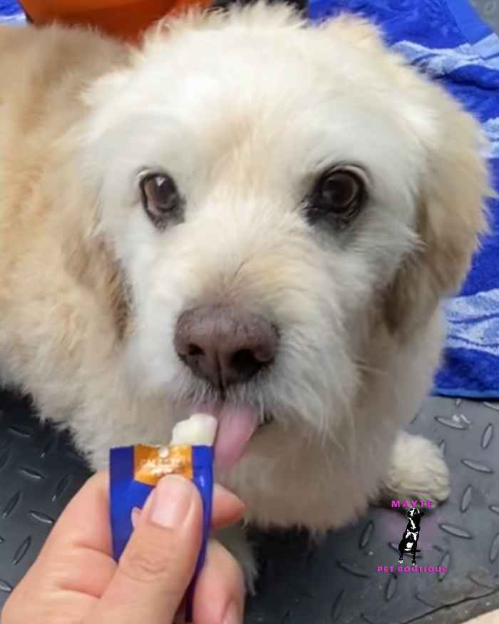 🐶 Snack Cremoso para Perro🐾