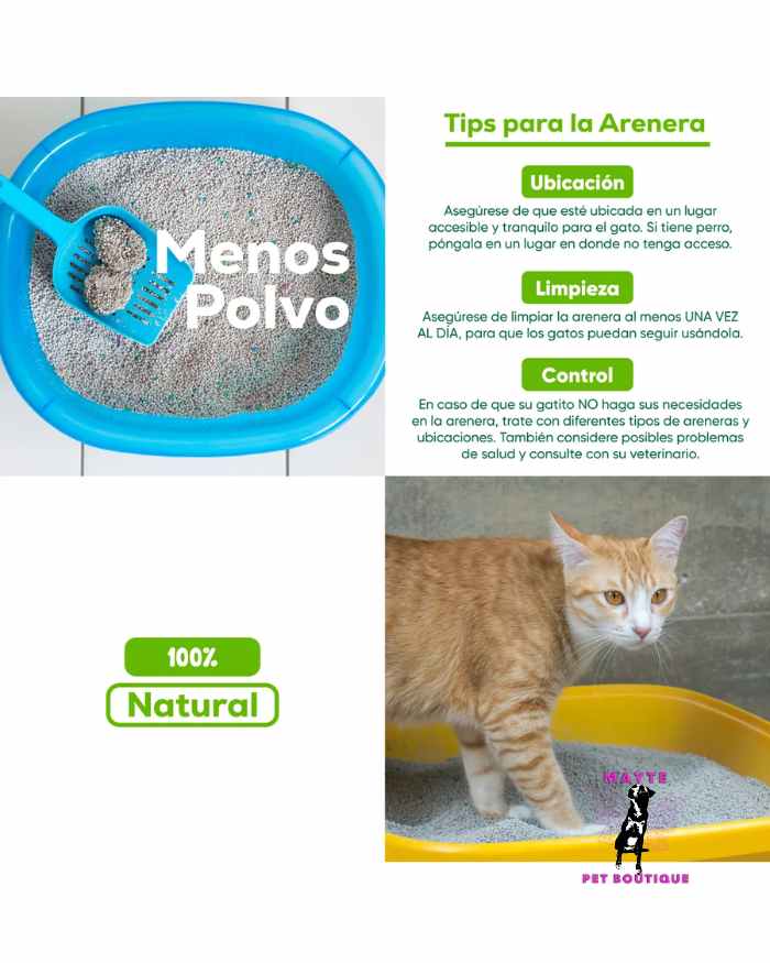 🐱 Arena para Gatos Calabaza Aglomerante 🐾