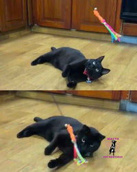 🐱 Caña de Pescar para Gatos🎣