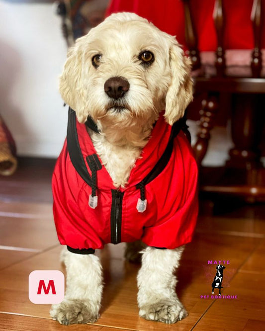 Chaquetas Semi-Impermeables para Perros
