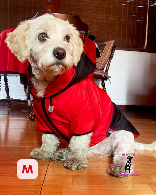 Chaquetas Semi-Impermeables para Perros
