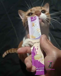🐱 Snack Cremoso para Gatos🐾