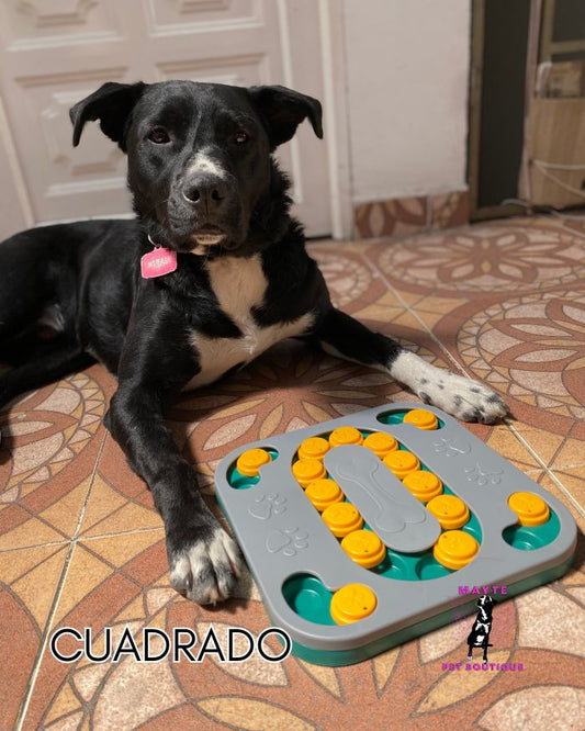 Juguete Interactivo para Perro- Rompecabezas Didácticos