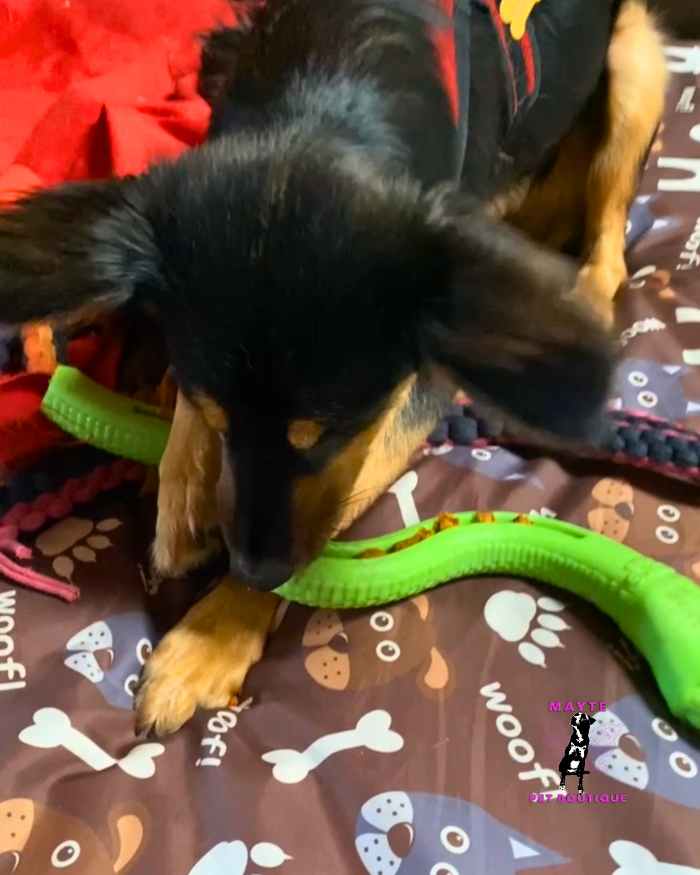 Serpiente Rellenable Interactiva 🐕