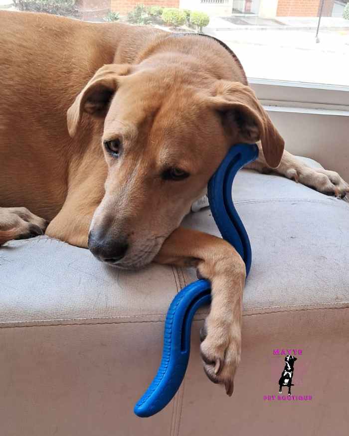 Serpiente Rellenable Interactiva 🐕