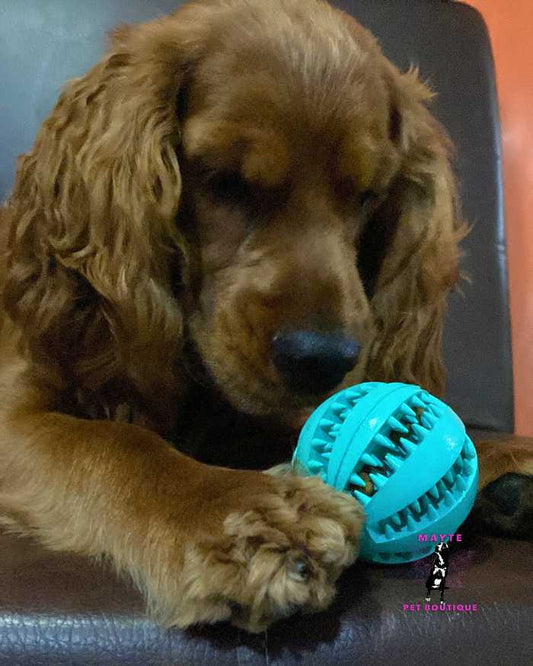 Pelota Porta Snacks🐶