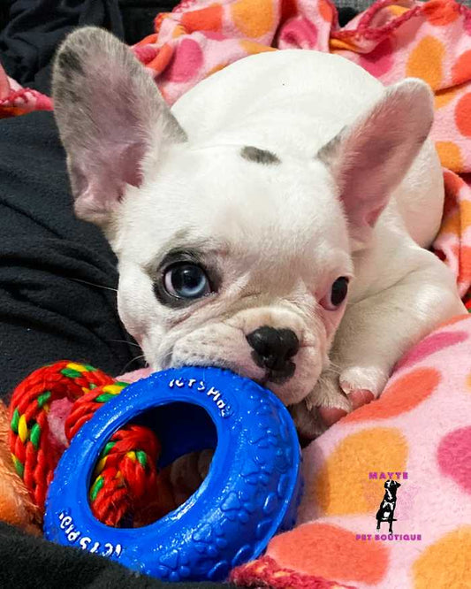 Llanta con cuerda pequeña