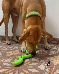 Serpiente Rellenable Interactiva 🐕