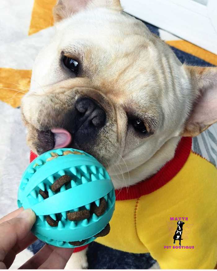 Pelota Porta Snacks🐶