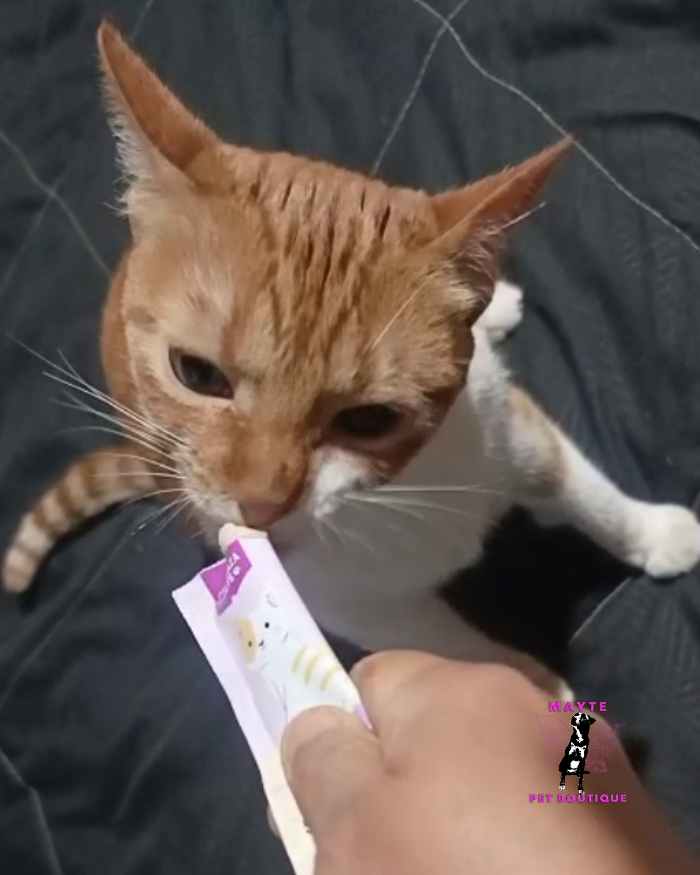 🐱 Snack Cremoso para Gatos🐾