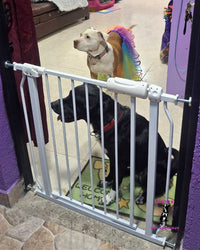 Puerta de Seguridad para Mascotas Ajustable