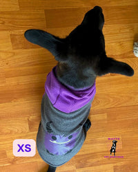 Sacos para Perro