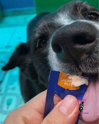 🐶 Snack Cremoso para Perro🐾