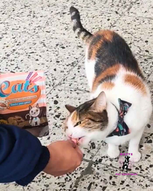 🐱 Snacks para Gato-Mungos 🐾