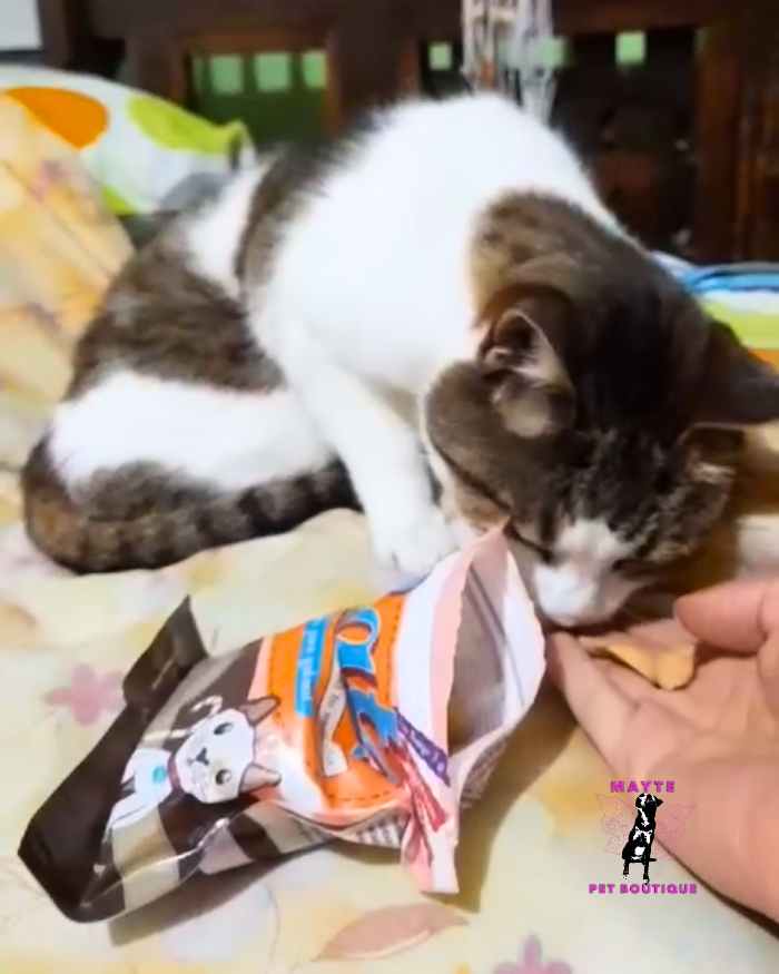 🐱 Snacks para Gato-Mungos 🐾